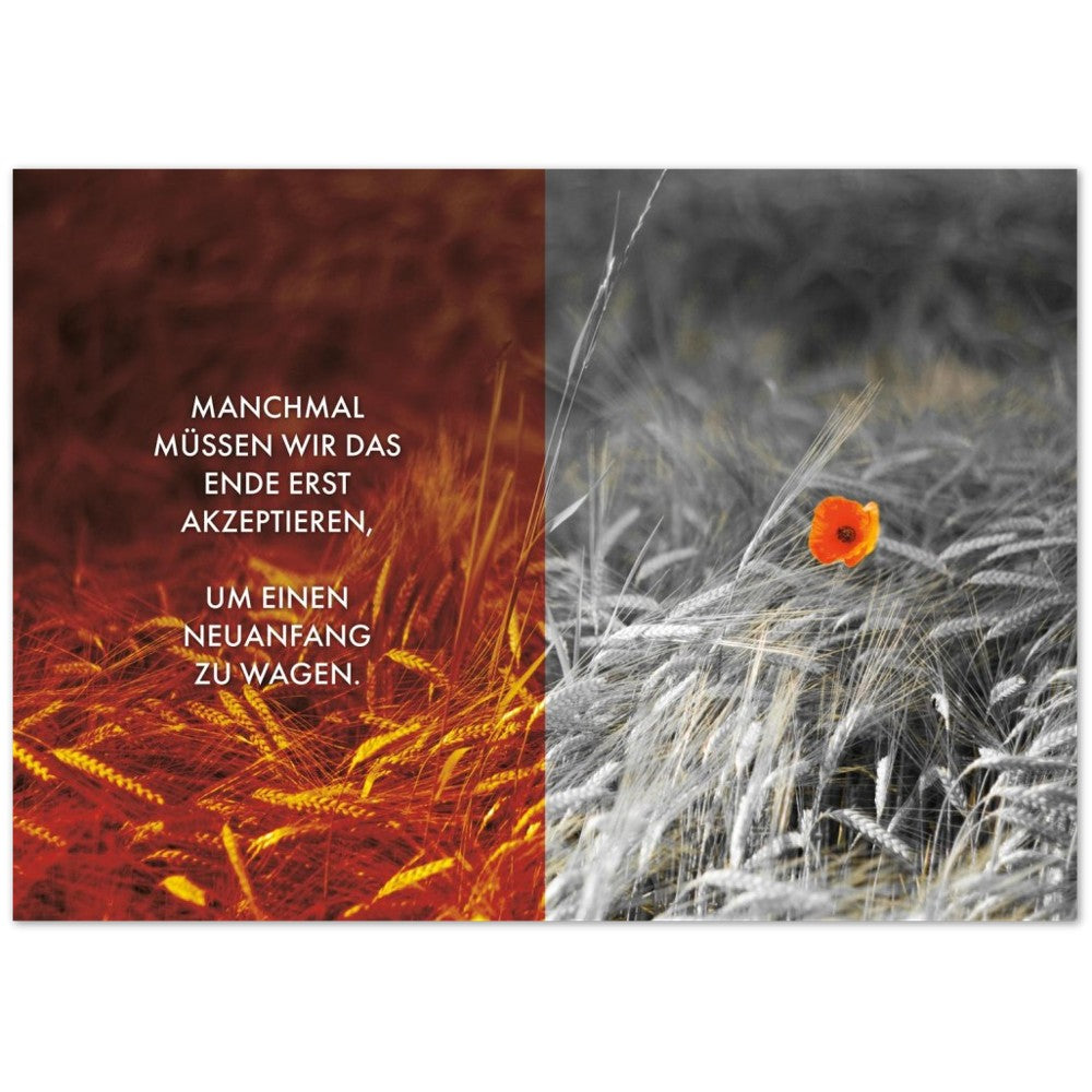Manchmal müssen wir das Ende erst akzeptieren… – Poster Seidenmatt Foto – Orange-rot, ohne Rahmen