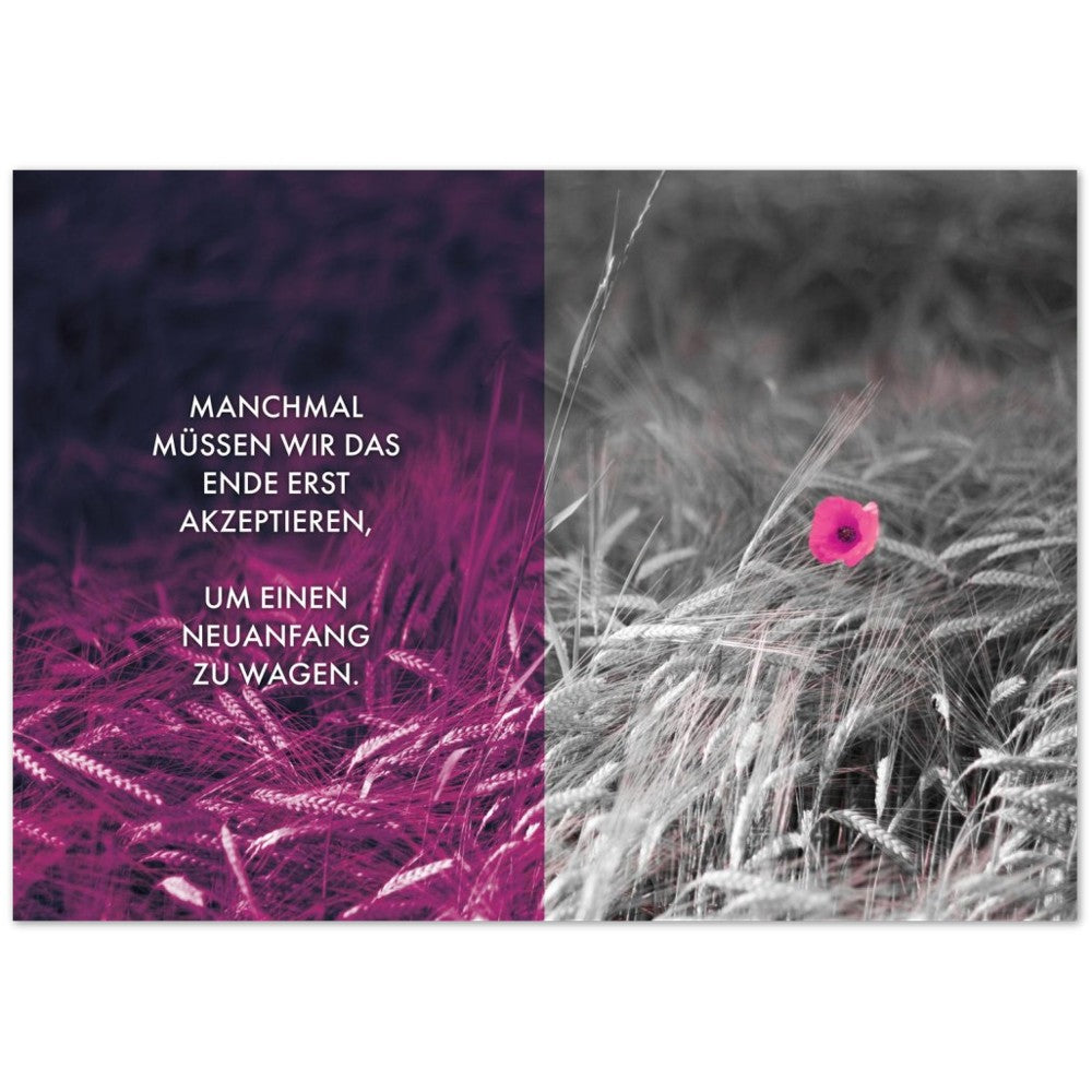 Manchmal müssen wir das Ende erst akzeptieren... – Poster Seidenmatt Foto – Violett, ohne Rahmen