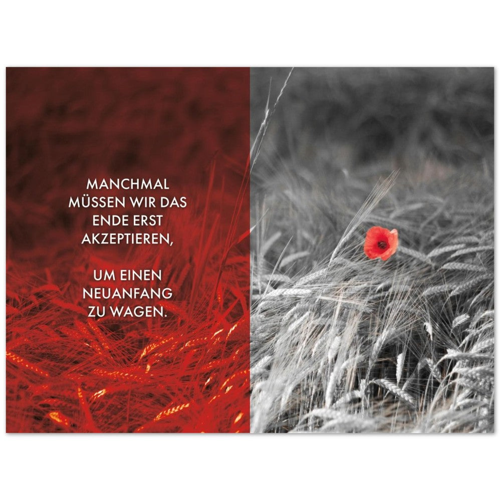 Manchmal müssen wir das Ende erst akzeptieren… – Poster Seidenmatt Foto – Rot, ohne Rahmen