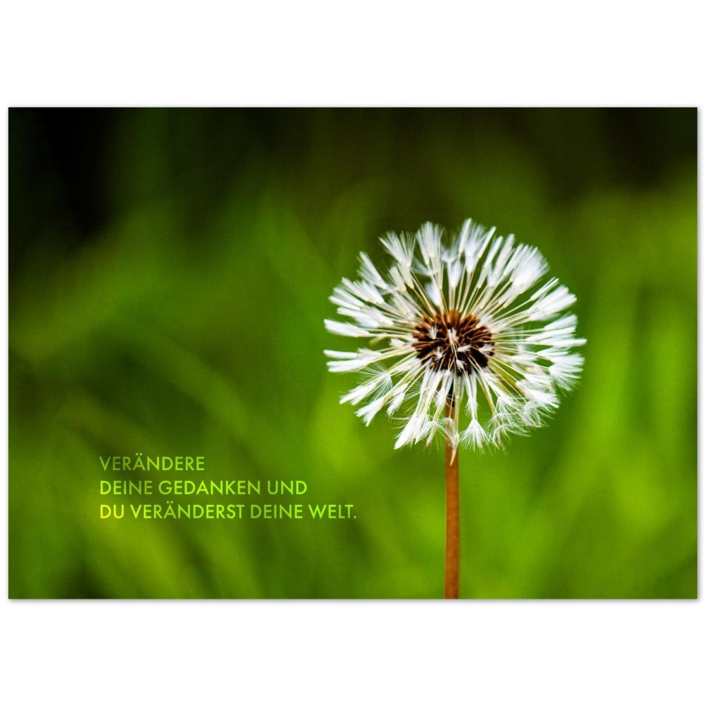 Verändere Deine Gedanken. Und Du veränderst Deine … – Poster Seidenmatt Foto – ohne Rahmen