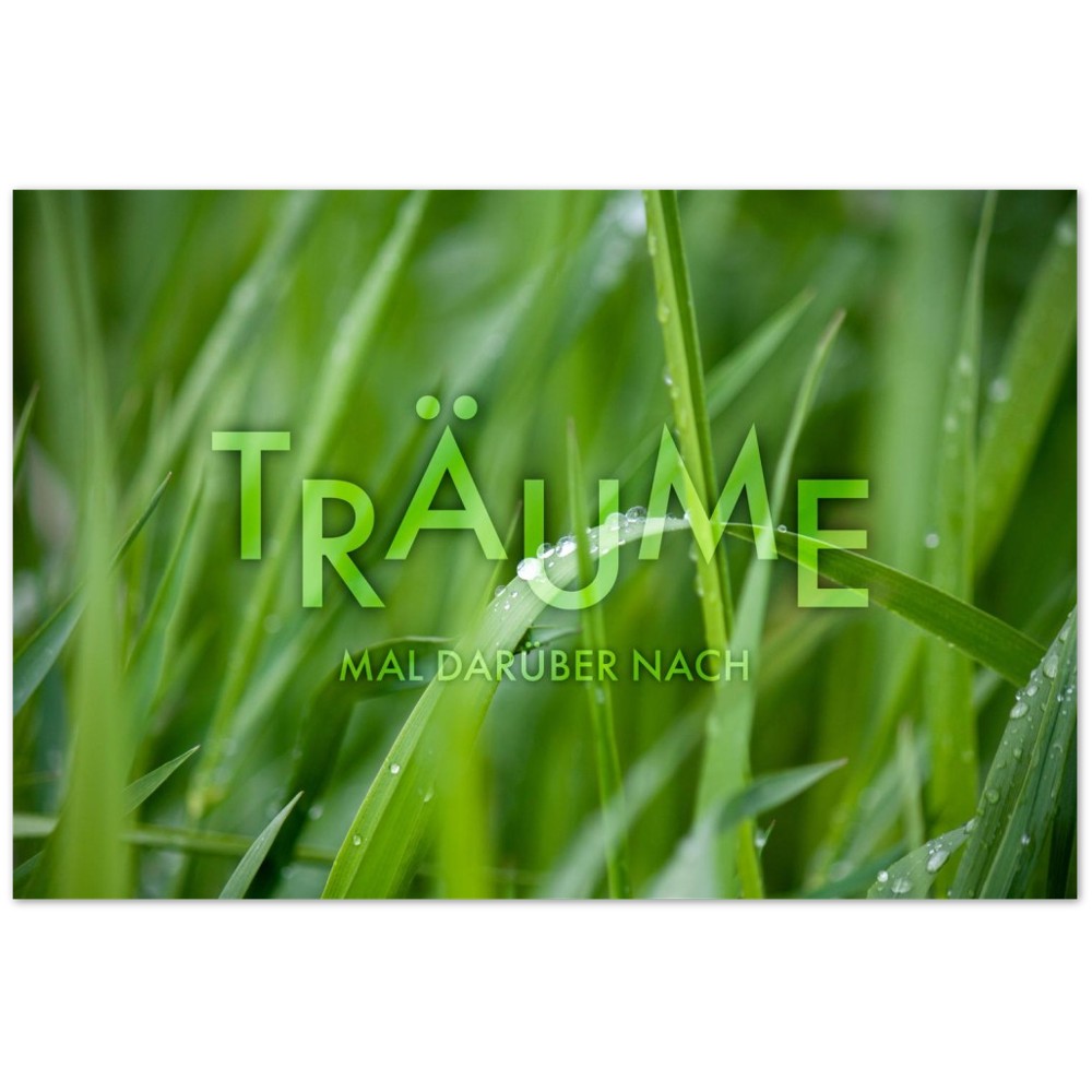 Träume mal darüber nach. – Poster Seidenmatt Foto – ohne Rahmen