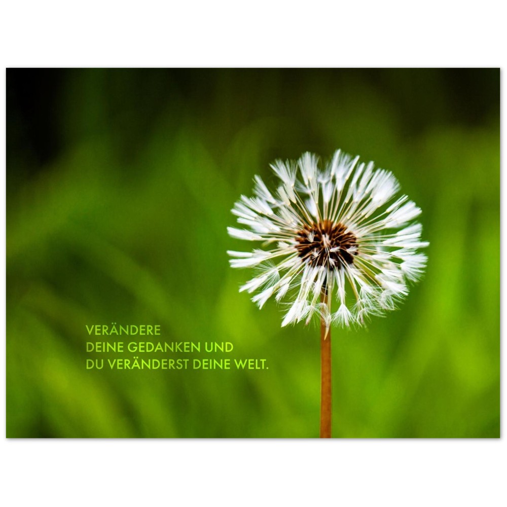 Verändere Deine Gedanken. Und Du veränderst Deine … – Poster Seidenmatt Foto – ohne Rahmen