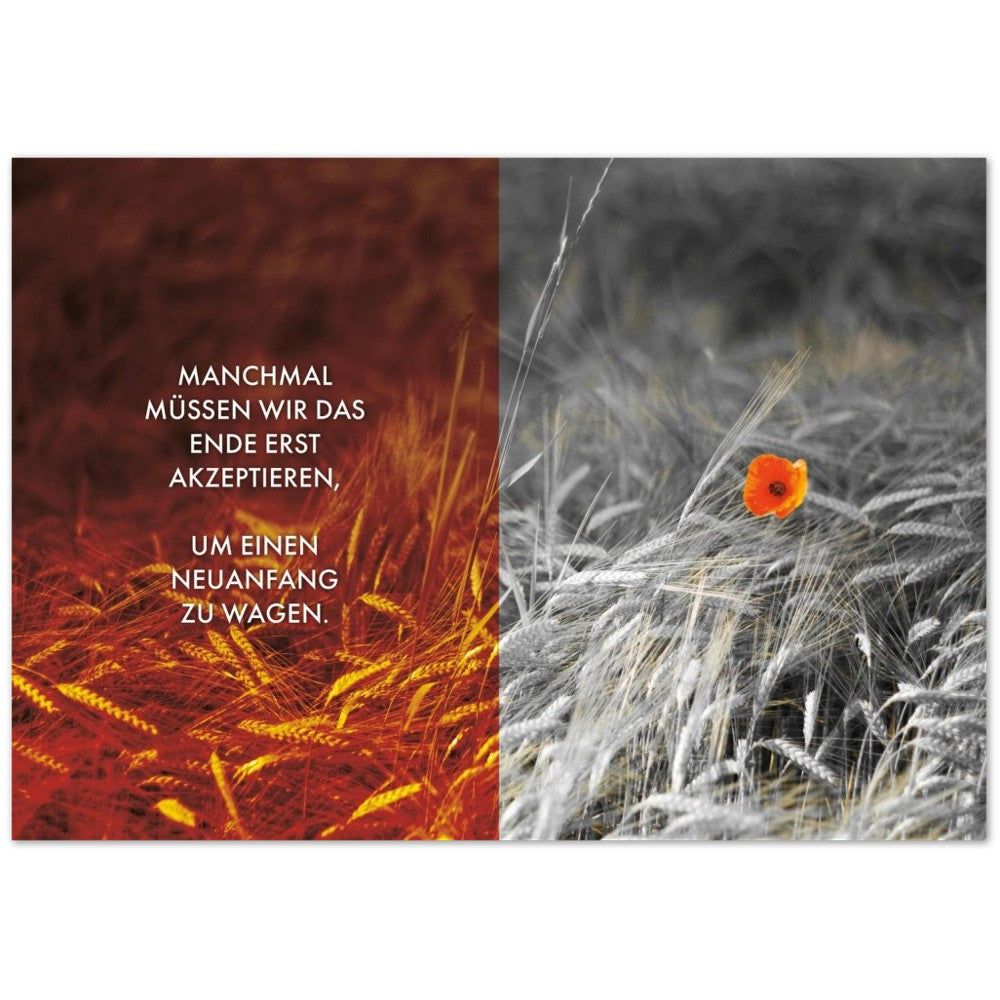 Manchmal müssen wir das Ende erst akzeptieren… – Poster Seidenmatt Foto – Orange-rot, ohne Rahmen