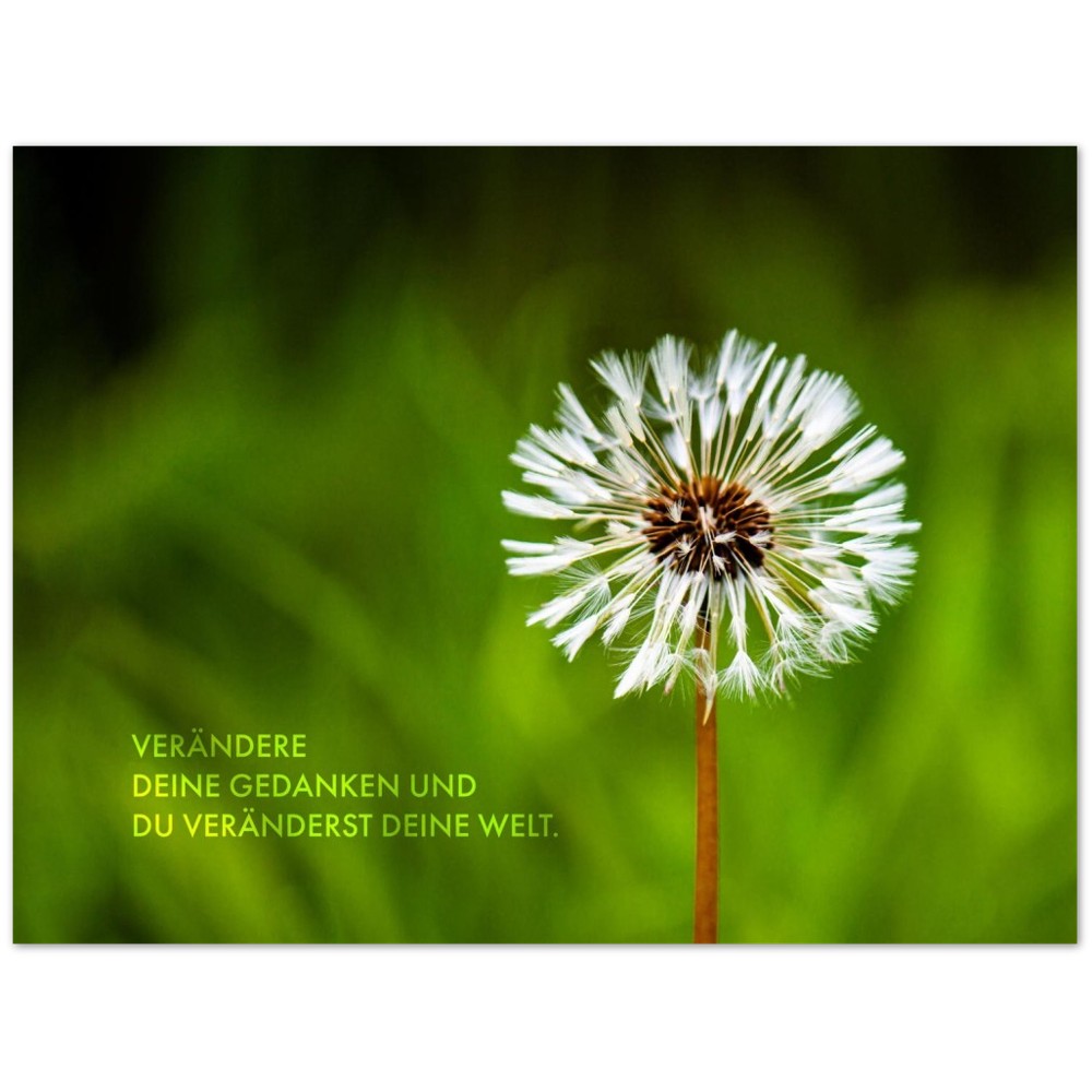 Verändere Deine Gedanken. Und Du veränderst Deine … – Poster Seidenmatt Foto – ohne Rahmen