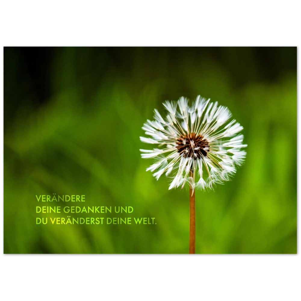 Verändere Deine Gedanken. Und Du veränderst Deine … – Poster Seidenmatt Foto – ohne Rahmen