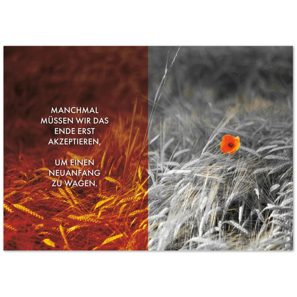 Manchmal müssen wir das Ende erst akzeptieren… – Poster Seidenmatt Foto – Orange-rot, ohne Rahmen