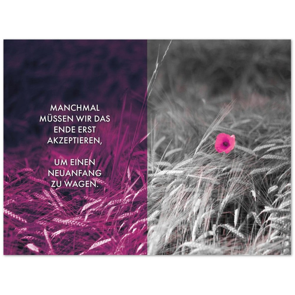 Manchmal müssen wir das Ende erst akzeptieren... – Poster Seidenmatt Foto – Violett, ohne Rahmen