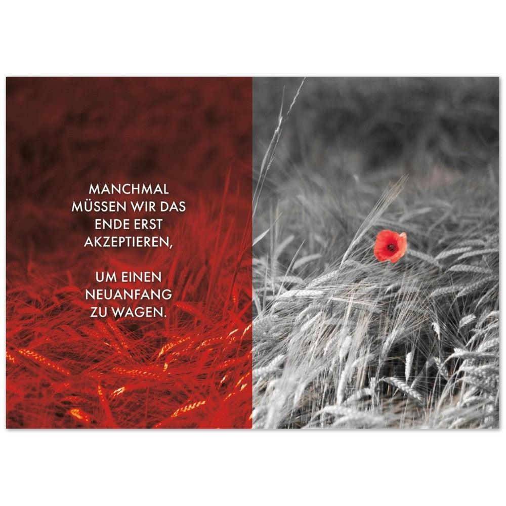 Manchmal müssen wir das Ende erst akzeptieren… – Poster Seidenmatt Foto – Rot, ohne Rahmen