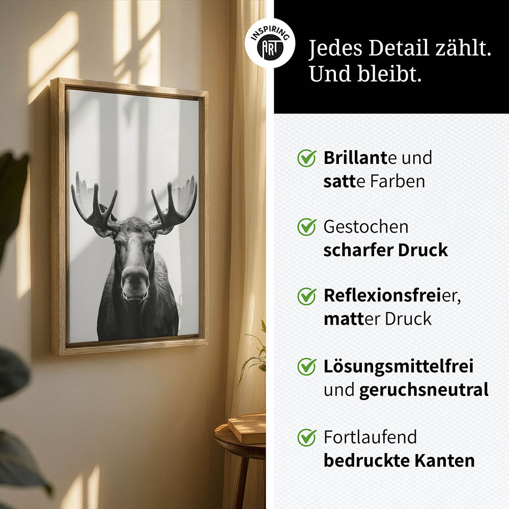 Leinwandbild: Tierporträt Elch "Thorin" in Schwarz-Weiß