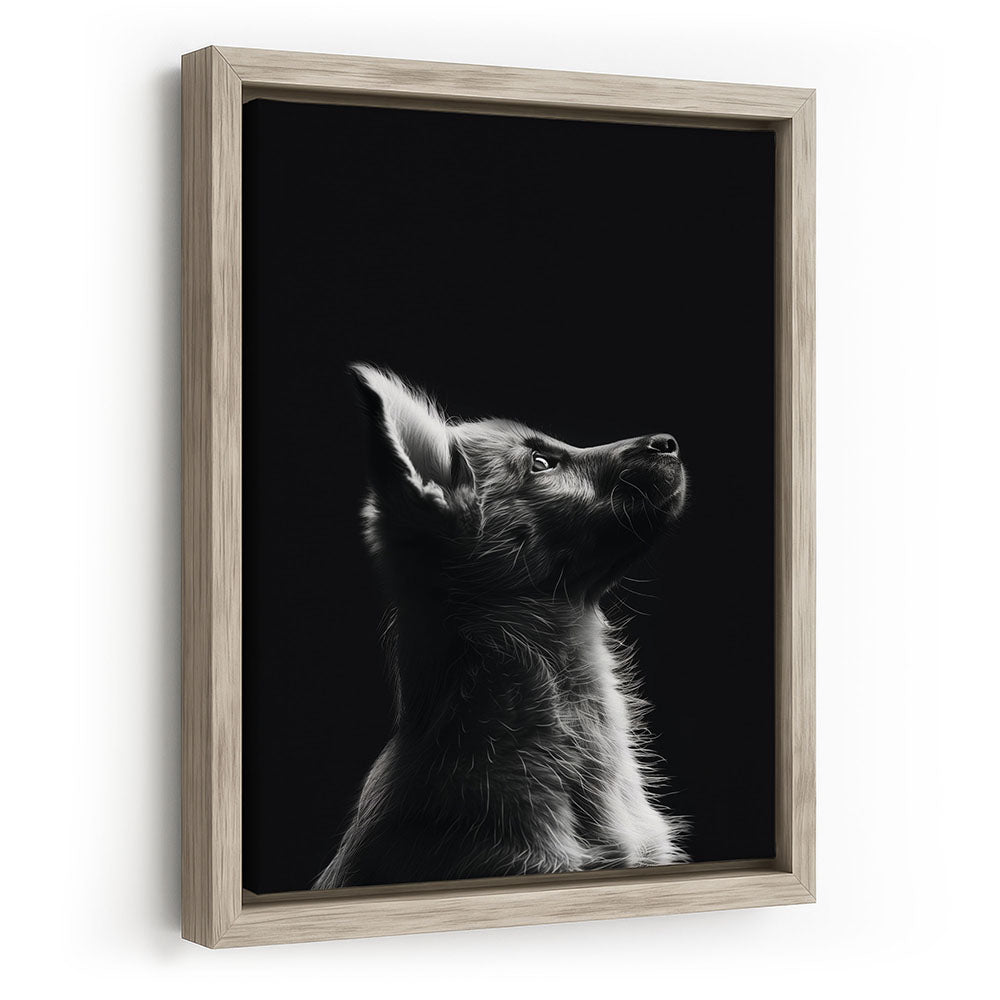 Leinwandbild mit Rahmen Hund Schwarz Weiß