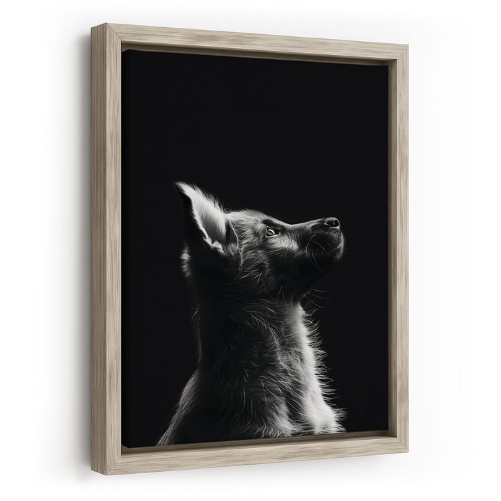 Leinwandbild mit Rahmen Hund Schwarz Weiß