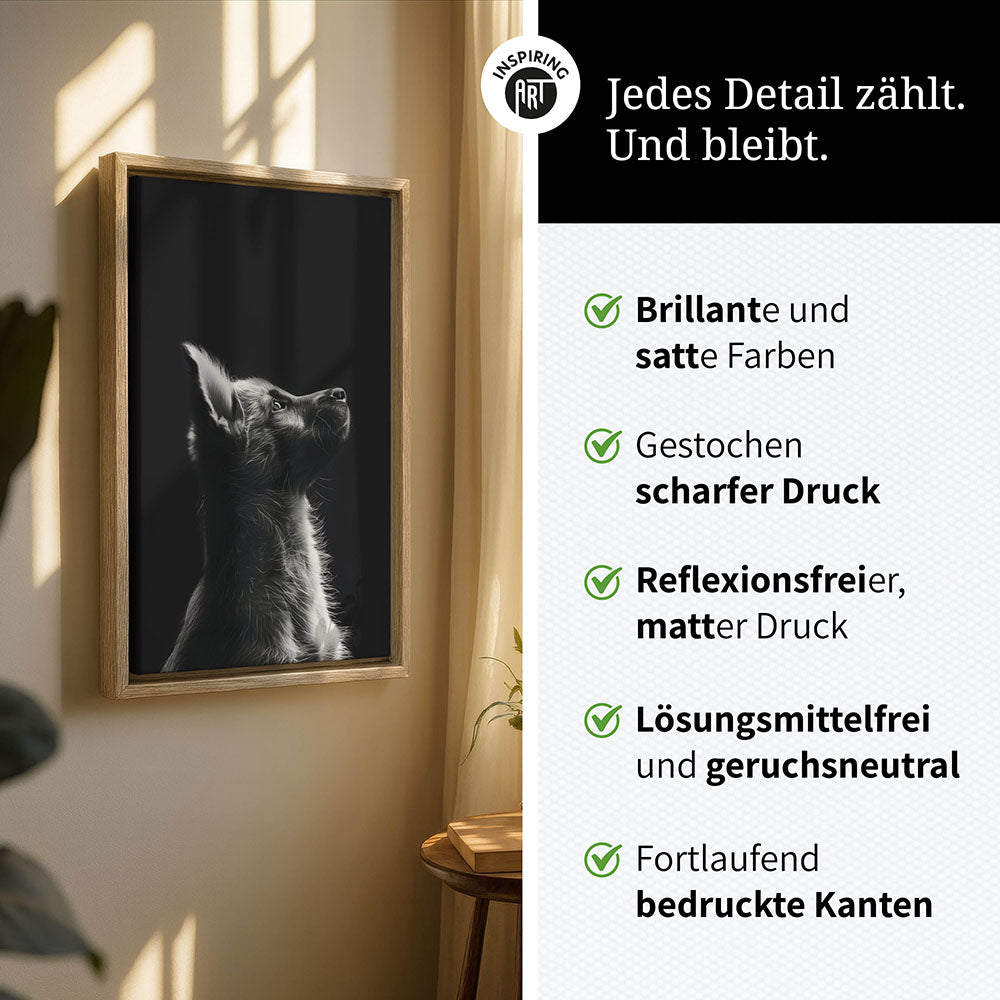 Leinwandbild: Tierporträt Hund "Lex" in Schwarz-Weiß