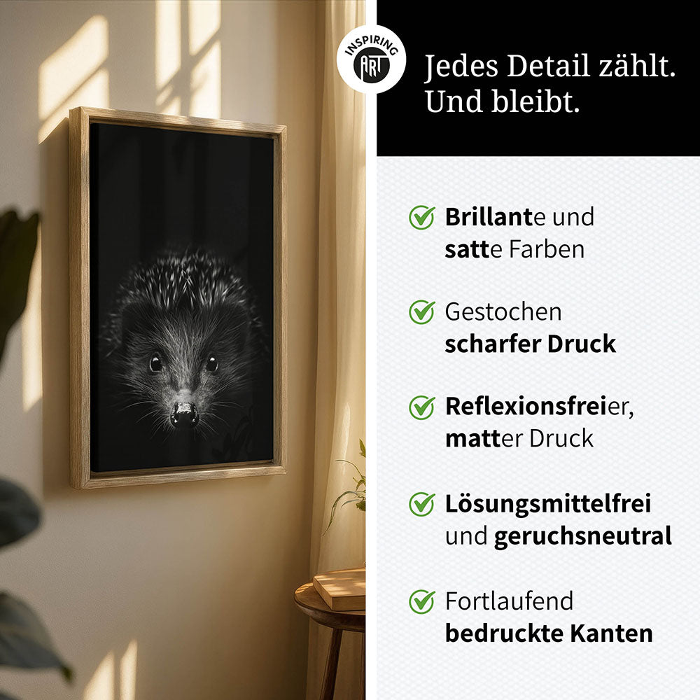 Leinwandbild: Tierporträt Igel "Stitch" in Schwarz-Weiß
