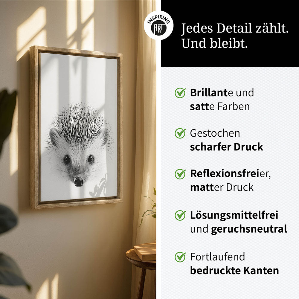 Leinwandbild: Tierporträt Igel "Pico" in Schwarz-Weiß