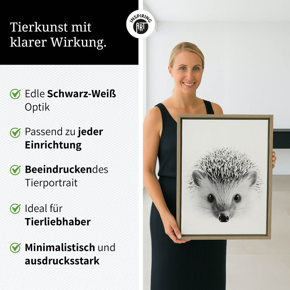 Leinwandbild: Tierporträt Igel "Pico" in Schwarz-Weiß