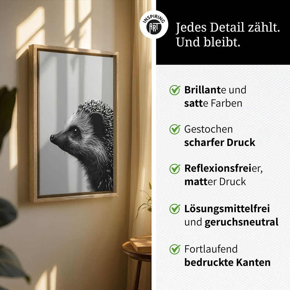 Leinwandbild: Tierporträt Igel "Fips" in Schwarz-Weiß