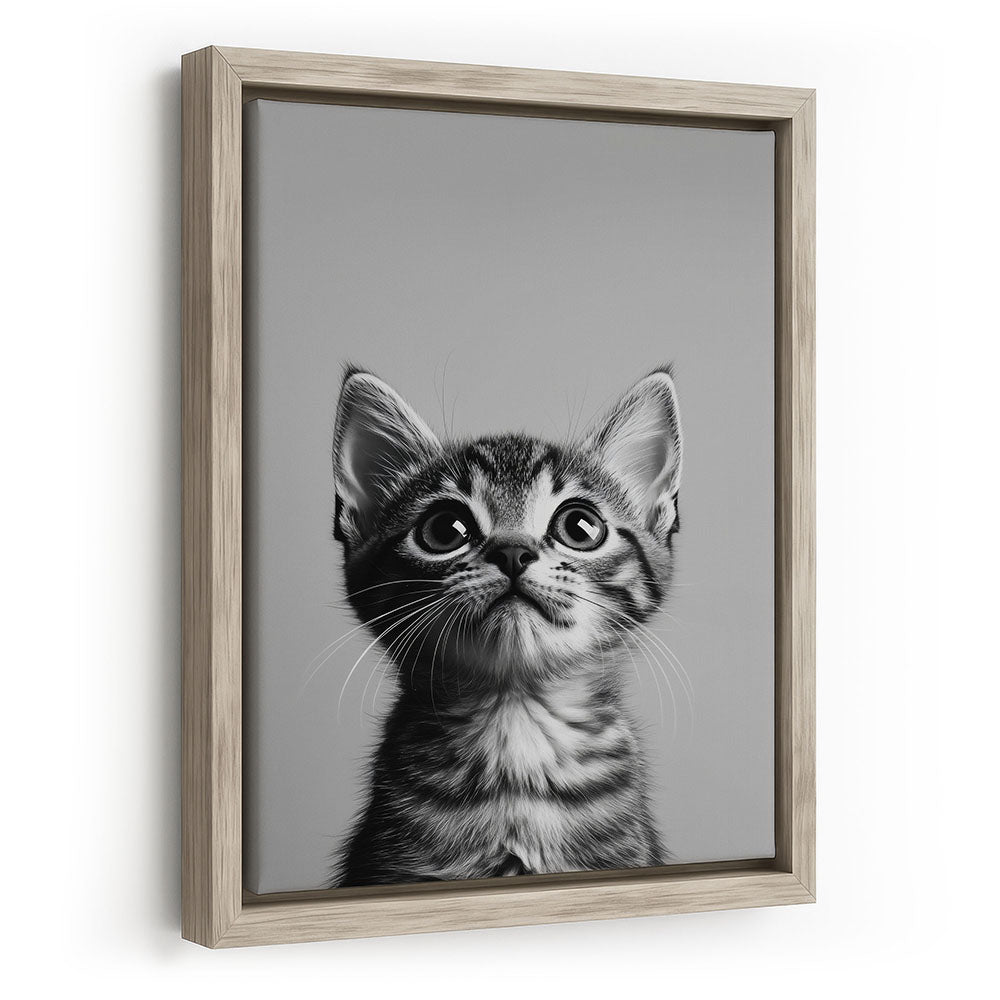 Wandbild mit Rahmen Katze Schwarz Weiß 