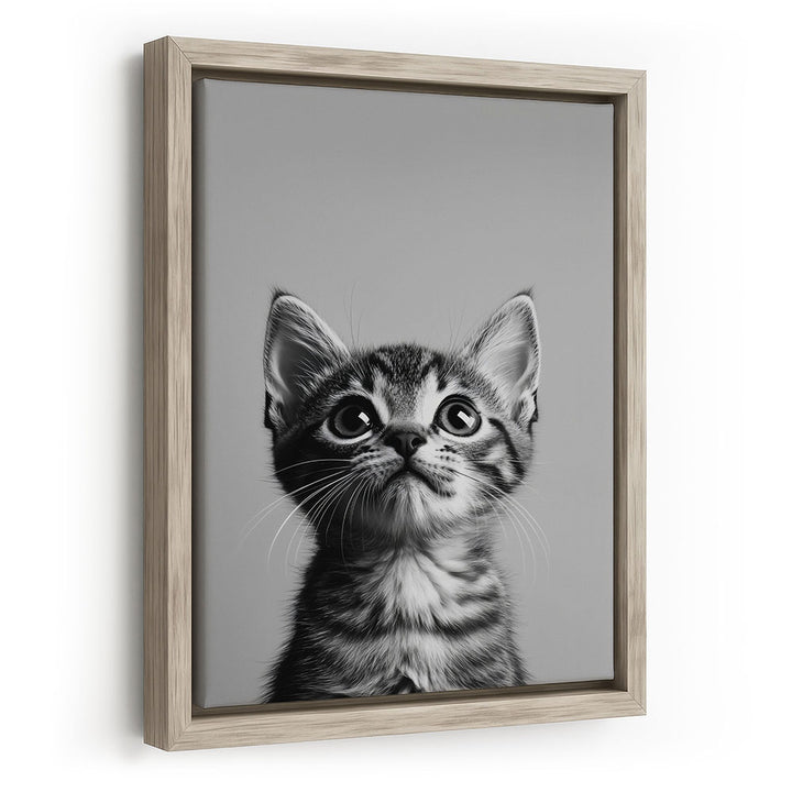 Wandbild mit Rahmen Katze Schwarz Weiß 