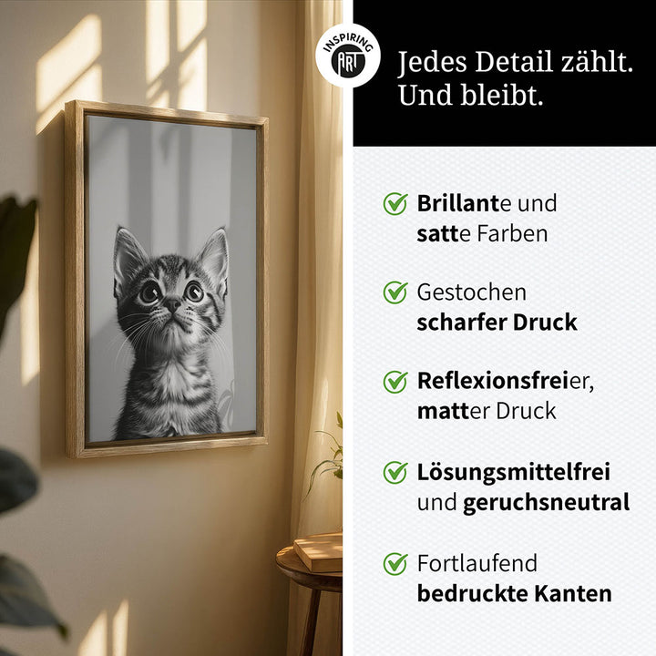 Leinwandbild: Tierporträt Katze "Nova" in Schwarz-Weiß