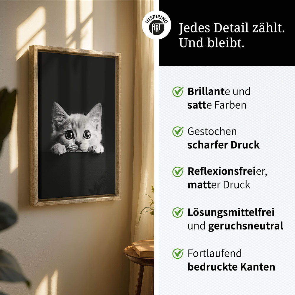 Leinwandbild: Tierporträt Katze "Misty" in Schwarz-Weiß