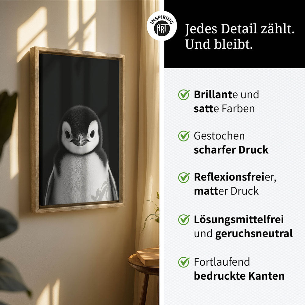 Leinwandbild: Tierporträt Pinguin "Icy" in Schwarz-Weiß