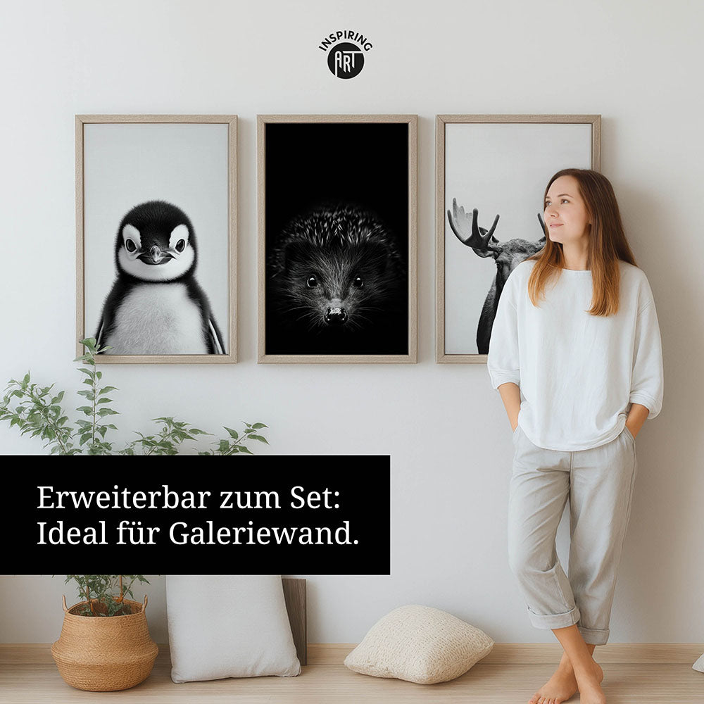 Leinwandbild: Tierporträt Pinguin "Icy" in Schwarz-Weiß