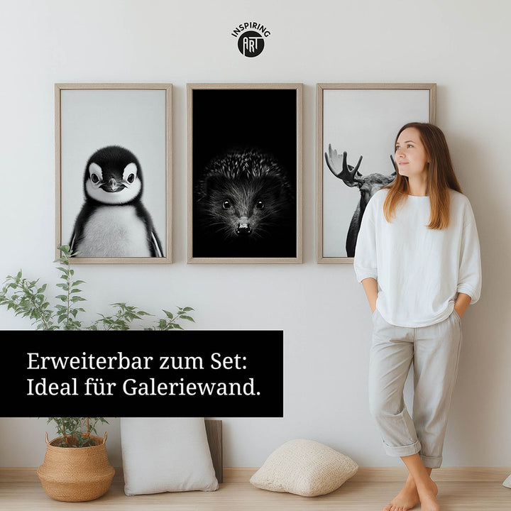 Leinwandbild: Tierporträt Pinguin "Icy" in Schwarz-Weiß