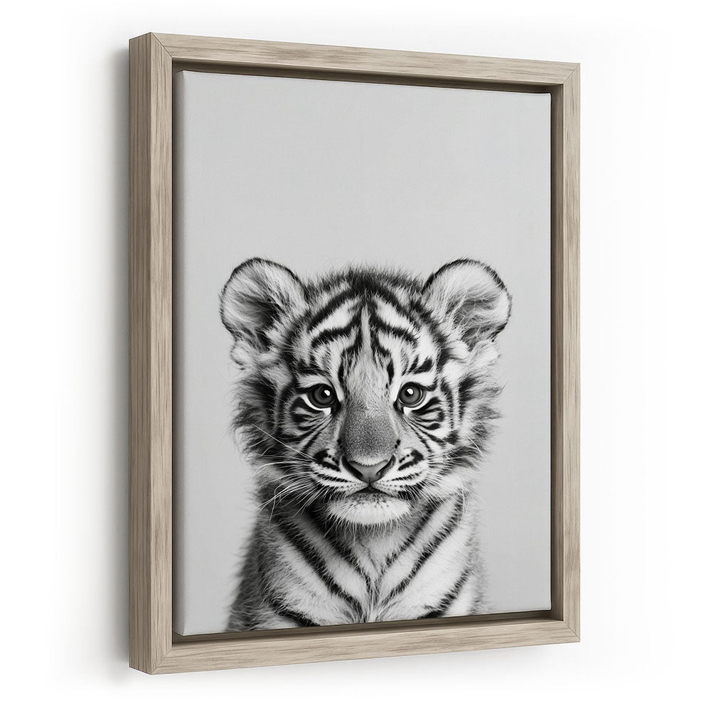 Baby Tiger Leinwandbild mit Rahmen