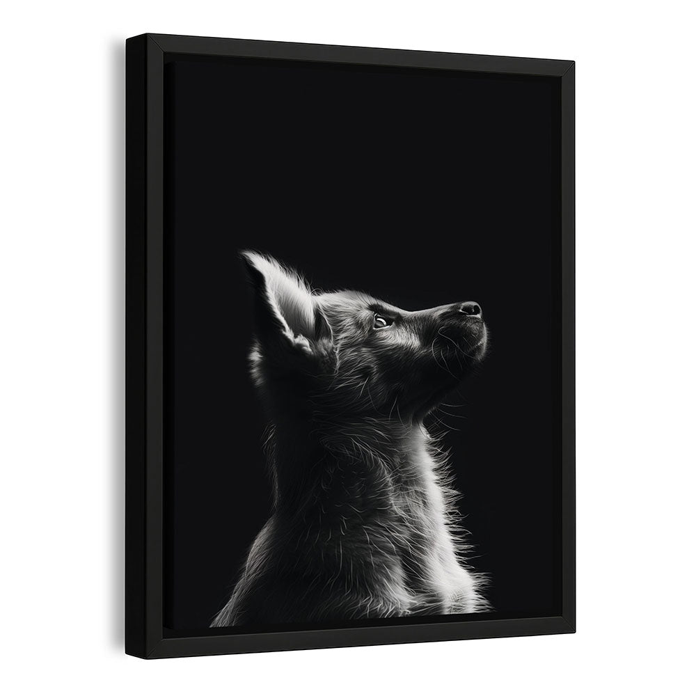 Leinwandbild Hund Schwarz Weiß mit Rahmen