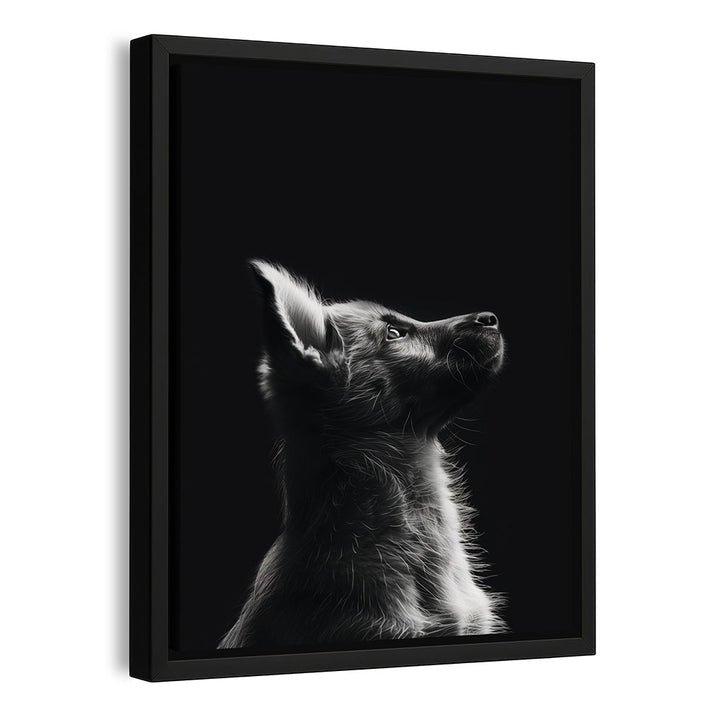 Leinwandbild Hund Schwarz Weiß mit Rahmen