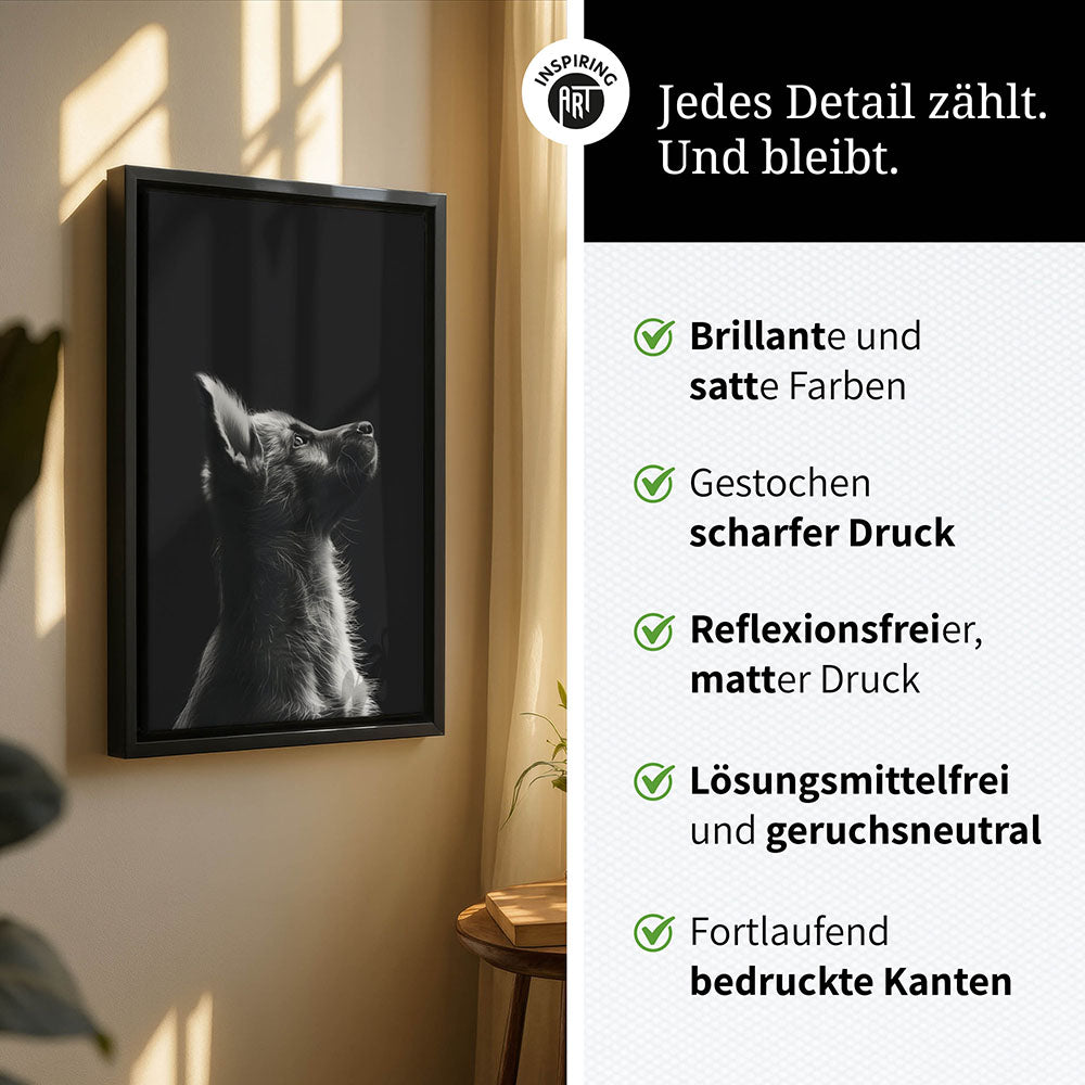 Leinwandbild: Tierporträt Hund "Lex" in Schwarz-Weiß