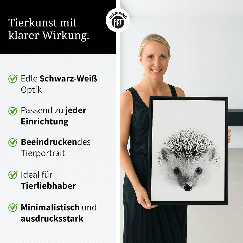 Leinwandbild: Tierporträt Igel "Pico" in Schwarz-Weiß