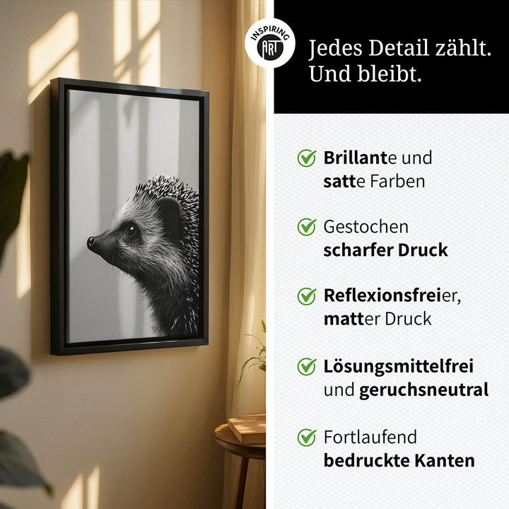 Leinwandbild: Tierporträt Igel "Fips" in Schwarz-Weiß