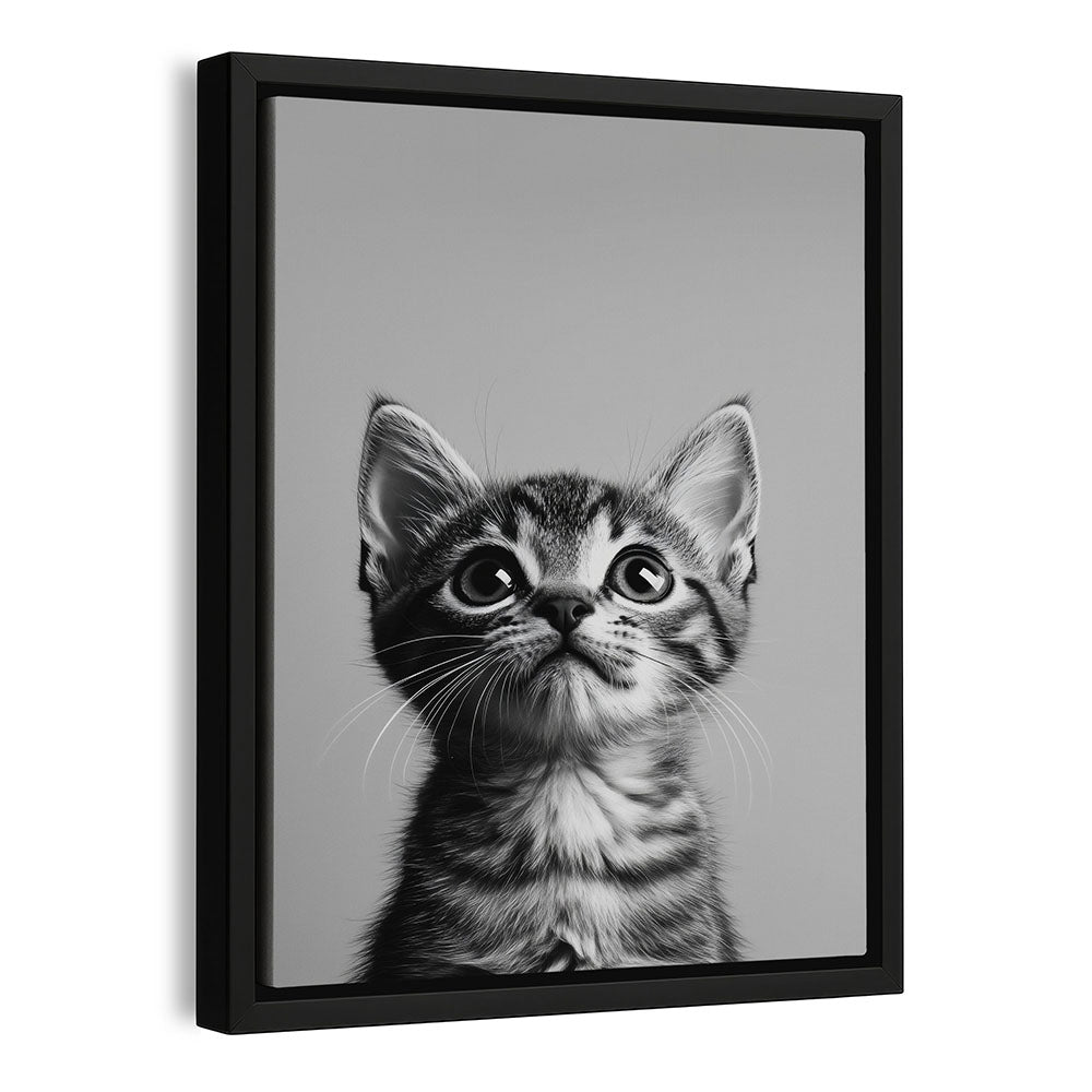 Leinwand Wandbild mit Rahmen Katze Schwarz Weiß 