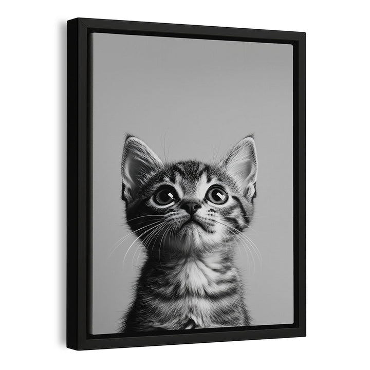 Leinwand Wandbild mit Rahmen Katze Schwarz Weiß 