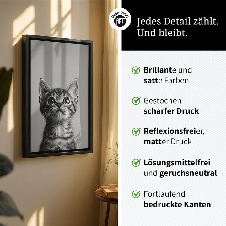 Leinwandbild: Tierporträt Katze "Nova" in Schwarz-Weiß