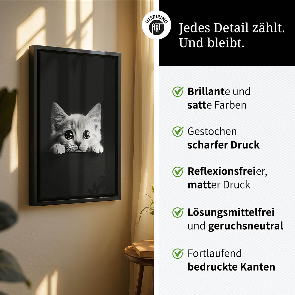 Leinwandbild: Tierporträt Katze "Misty" in Schwarz-Weiß