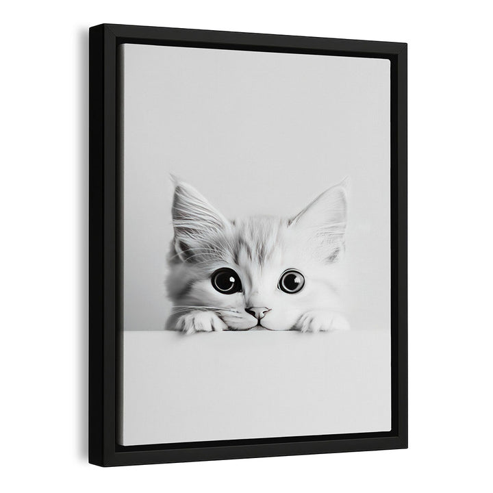 Gerahmte Leinwand Katze Schwarz Weiß
