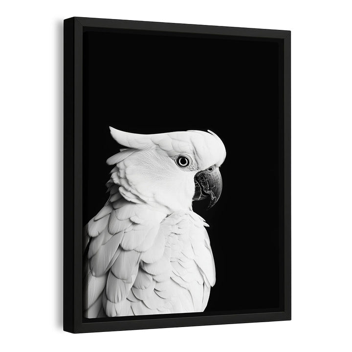 Wandbild mit Rahmen Papagei Schwarz Weiß