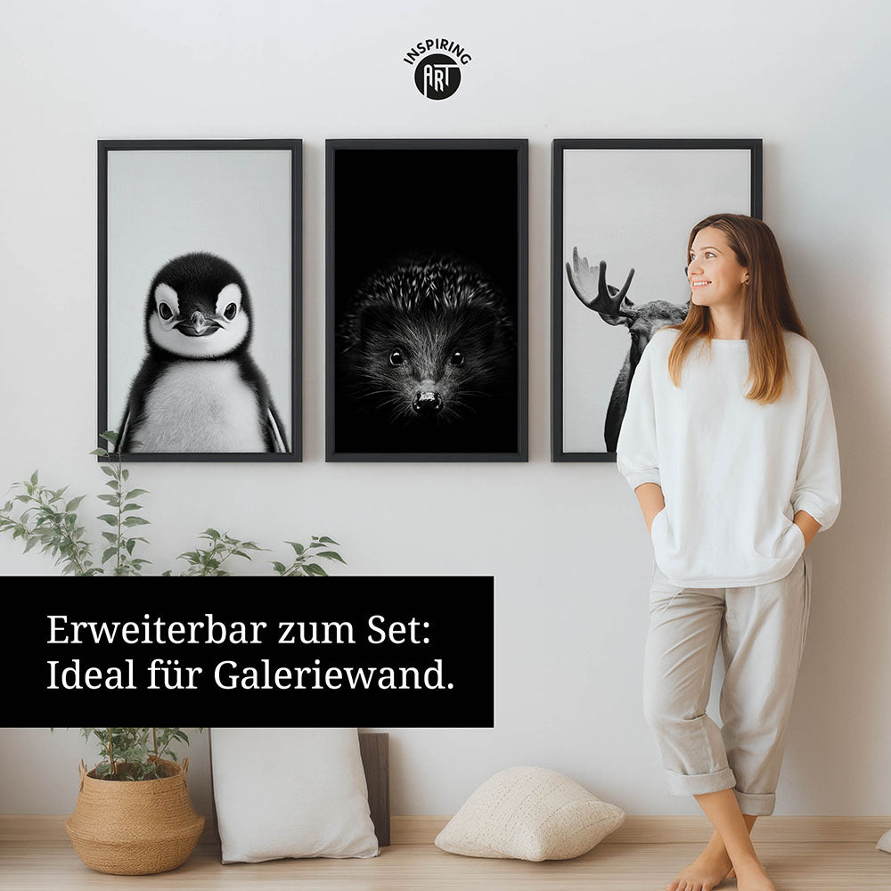 Leinwandbild: Tierporträt Pinguin "Flake" in Schwarz-Weiß