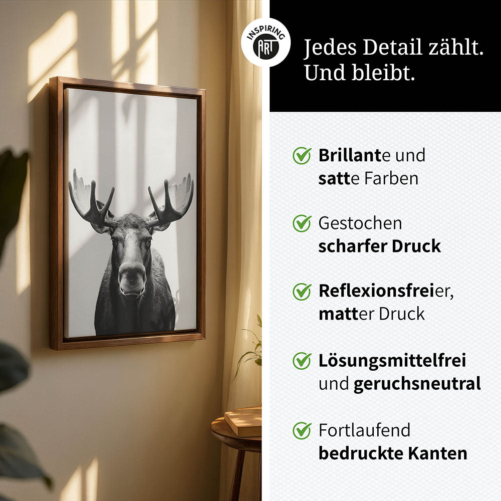 Leinwandbild: Tierporträt Elch "Thorin" in Schwarz-Weiß