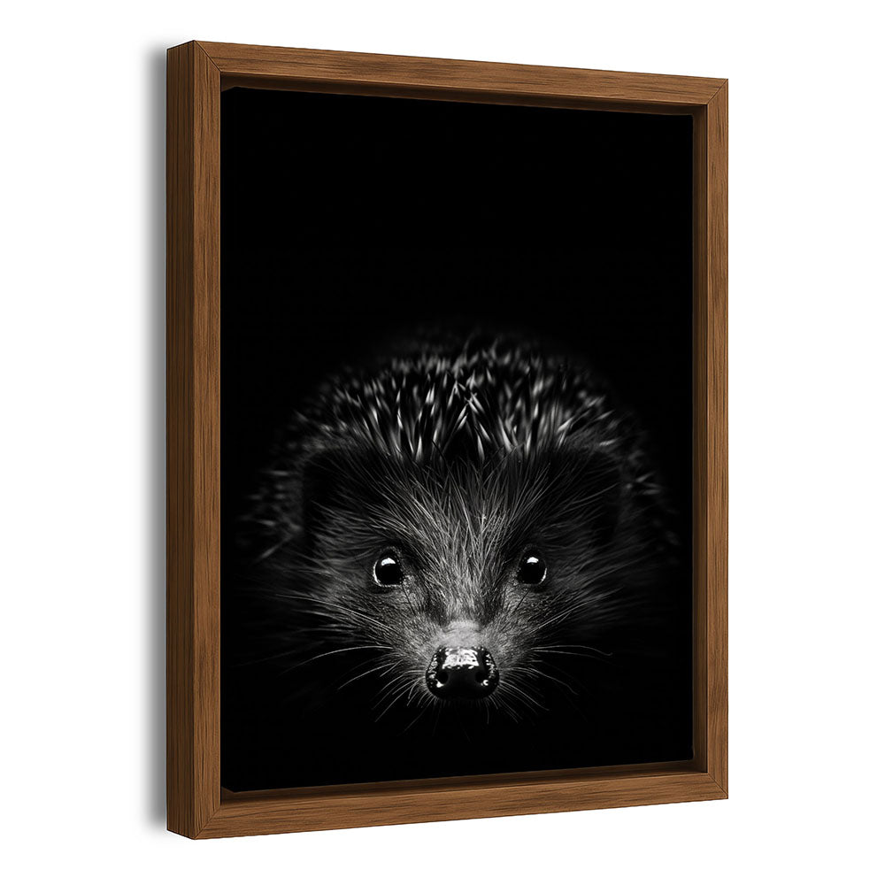 Igel Leinwandbild mit Rahmen