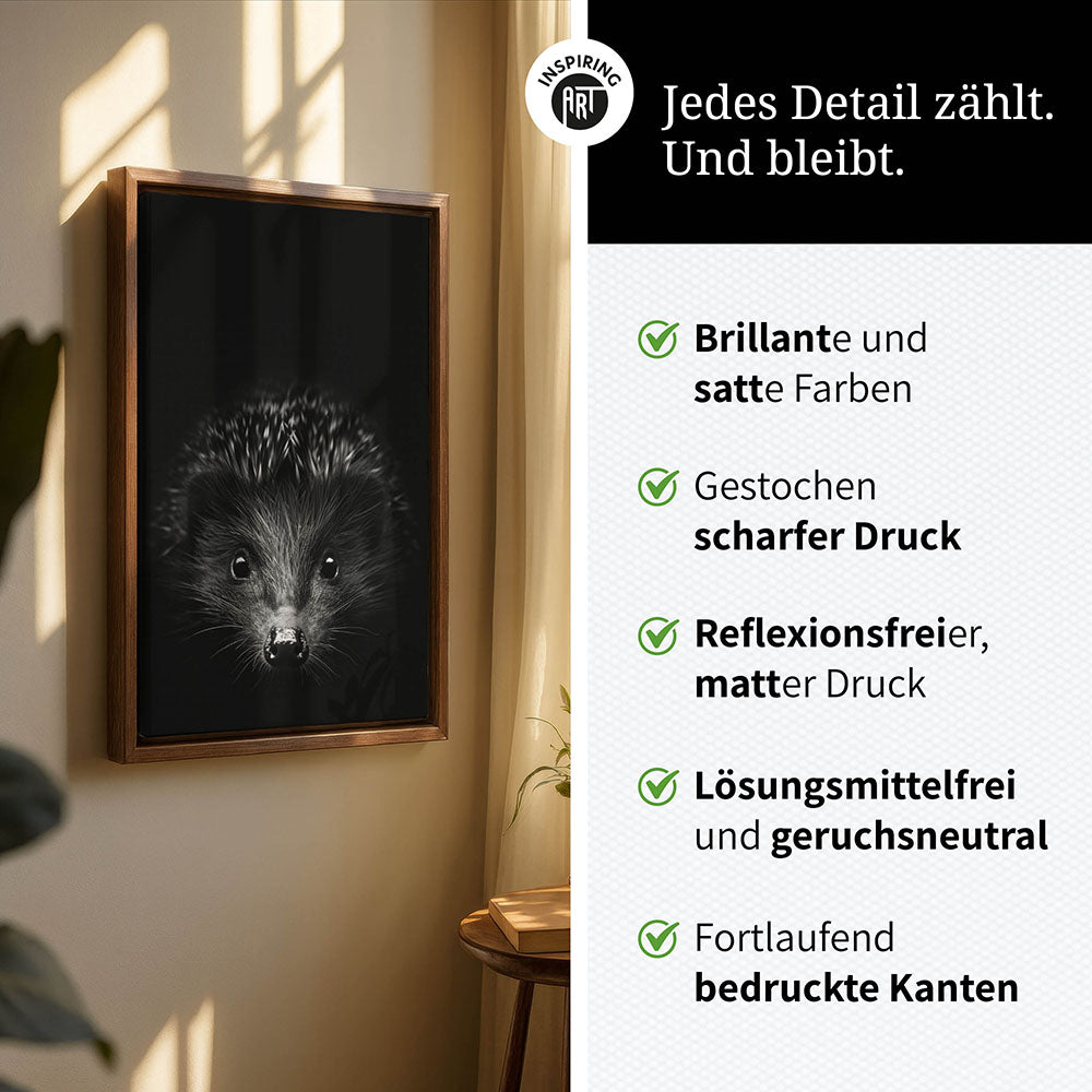 Leinwandbild: Tierporträt Igel "Stitch" in Schwarz-Weiß