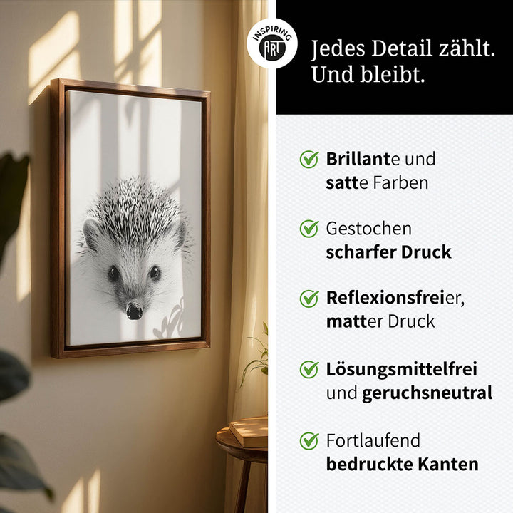 Leinwandbild: Tierporträt Igel "Pico" in Schwarz-Weiß