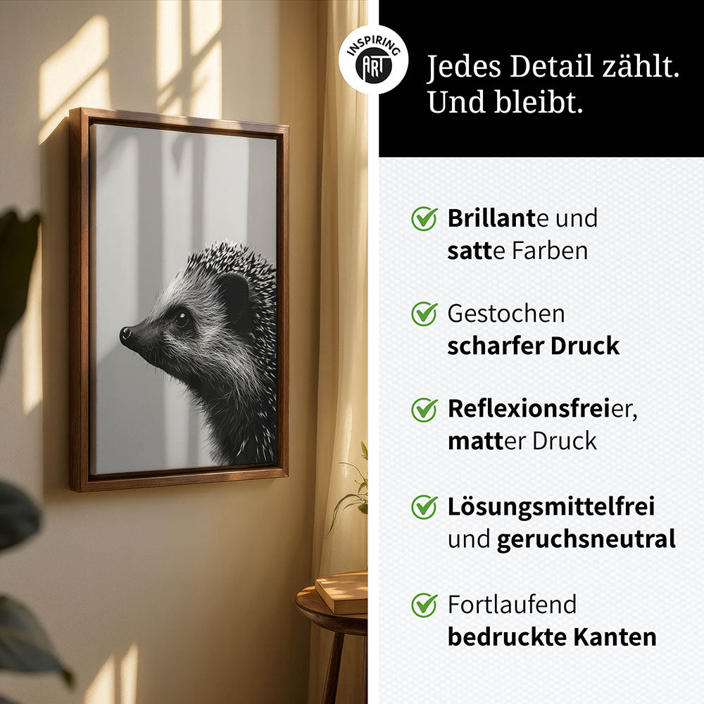 Leinwandbild: Tierporträt Igel "Fips" in Schwarz-Weiß