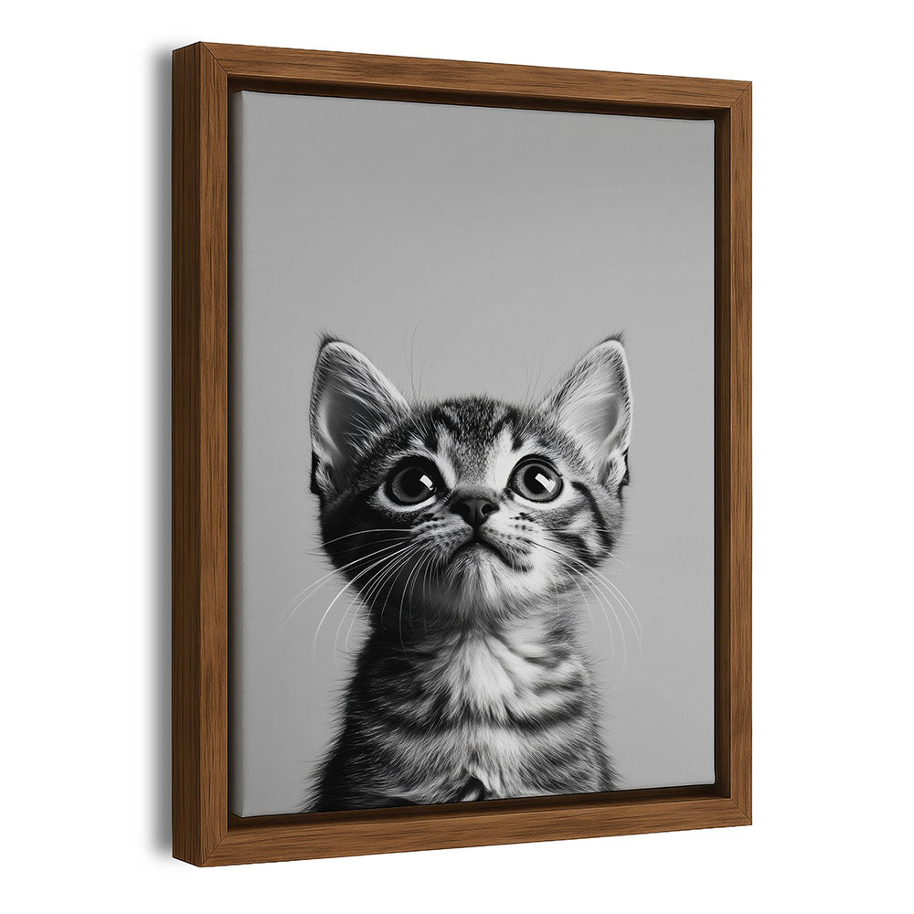 Katzen Wandbild Schwarz Weiß