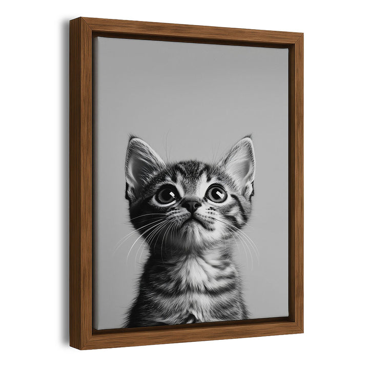 Katzen Wandbild Schwarz Weiß