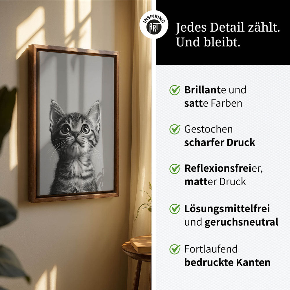 Leinwandbild: Tierporträt Katze "Nova" in Schwarz-Weiß