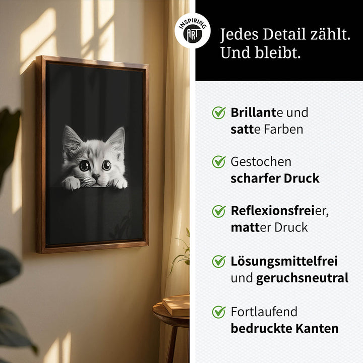 Leinwandbild: Tierporträt Katze "Misty" in Schwarz-Weiß