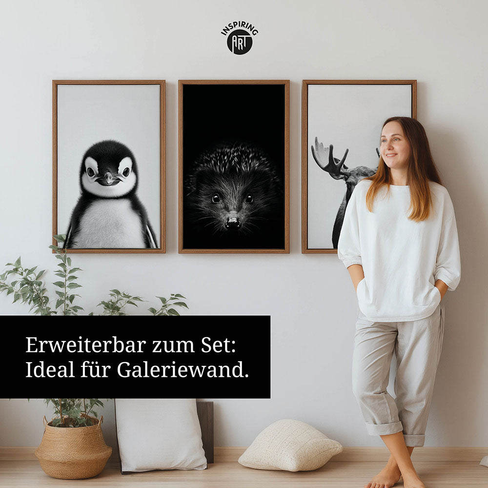 Leinwandbild: Tierporträt Katze "Snowy" in Schwarz-Weiß